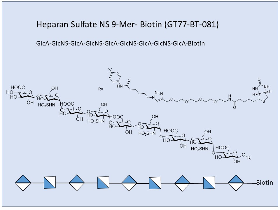 Heparan Sulfate NS 9-Mer Bio