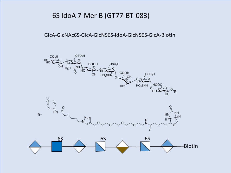 Heparan Sulfate NAc6S NS6S IdoA 6-Mer Bio B