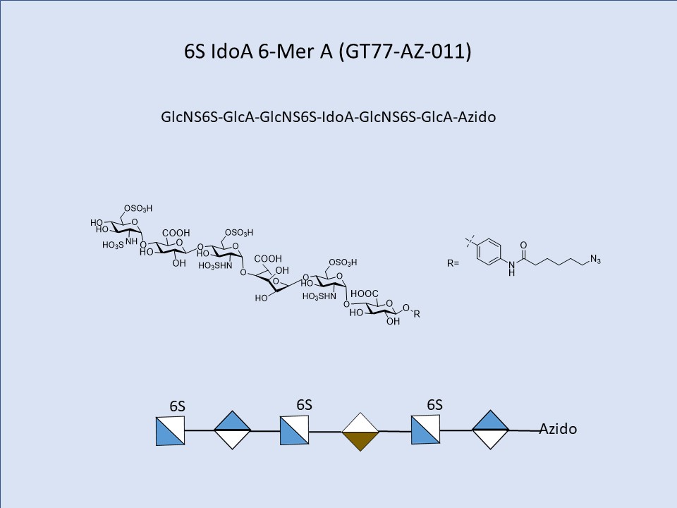 Heparan Sulfate 6S IdoA 6-Mer A