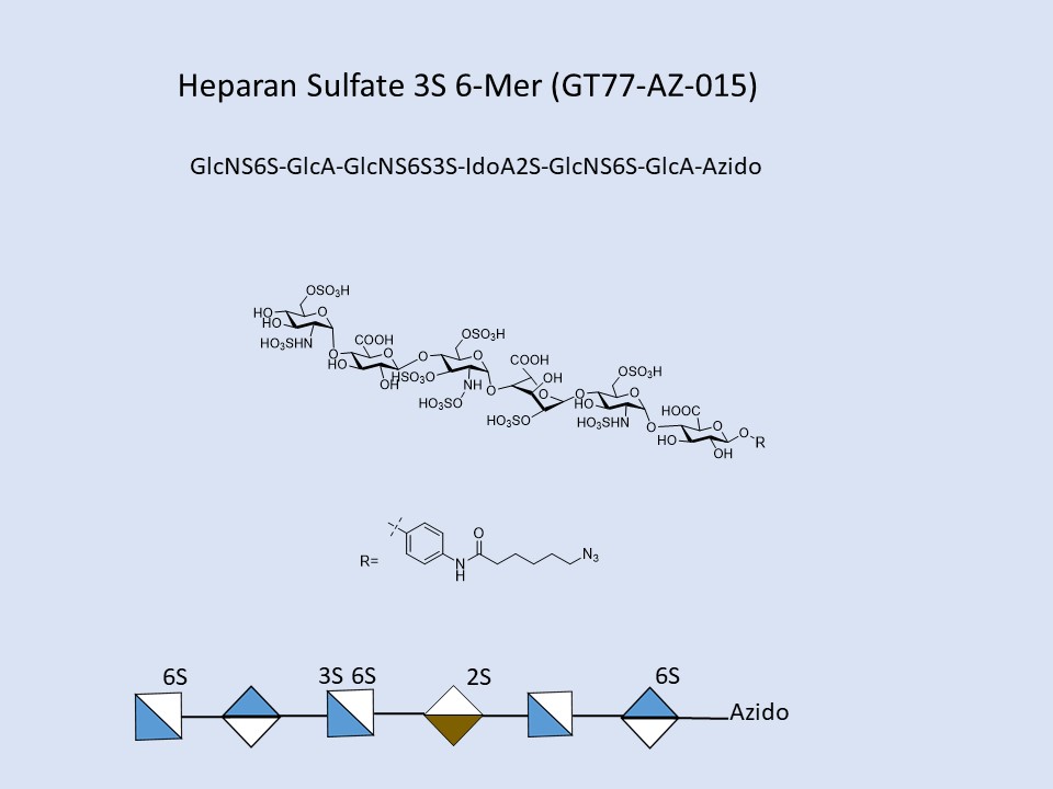 Heparan Sulfate 3S 6-Mer