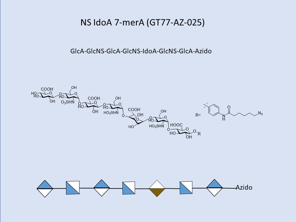 Heparan Sulfate NS IdoA 7-Mer A