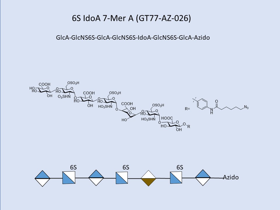 Heparan Sulfate 6S IdoA 7-Mer A