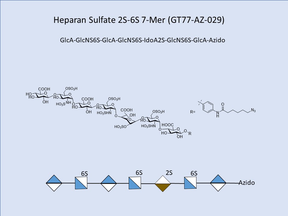 Heparan Sulfate 2S-6S 7-Mer