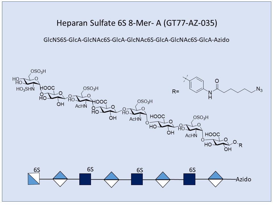 Heparan Sulfate 6S 8-Mer A