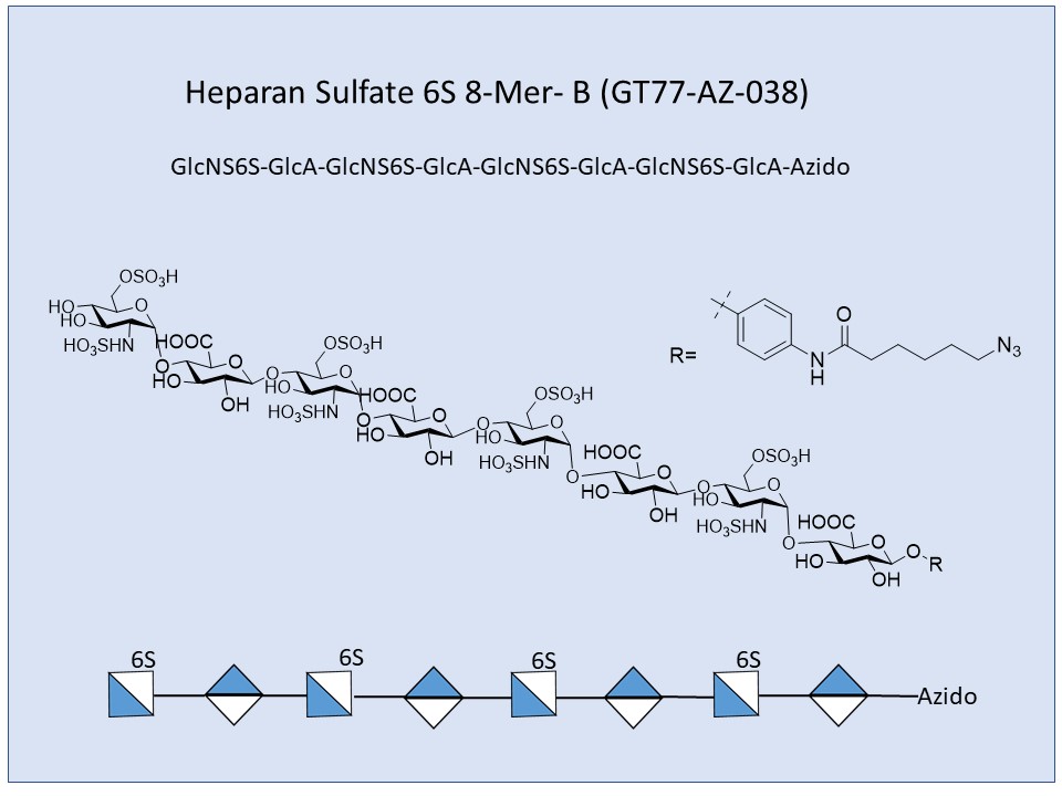 Heparan Sulfate 6S 8-Mer B
