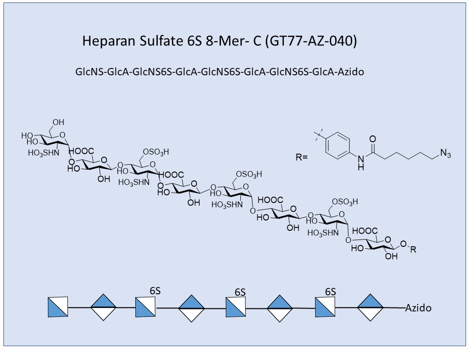 Heparan Sulfate 6S 8-Mer C
