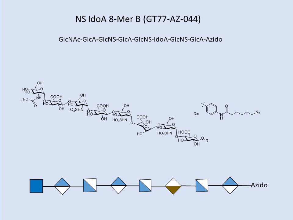 Heparan Sulfate NS IdoA 8-Mer B