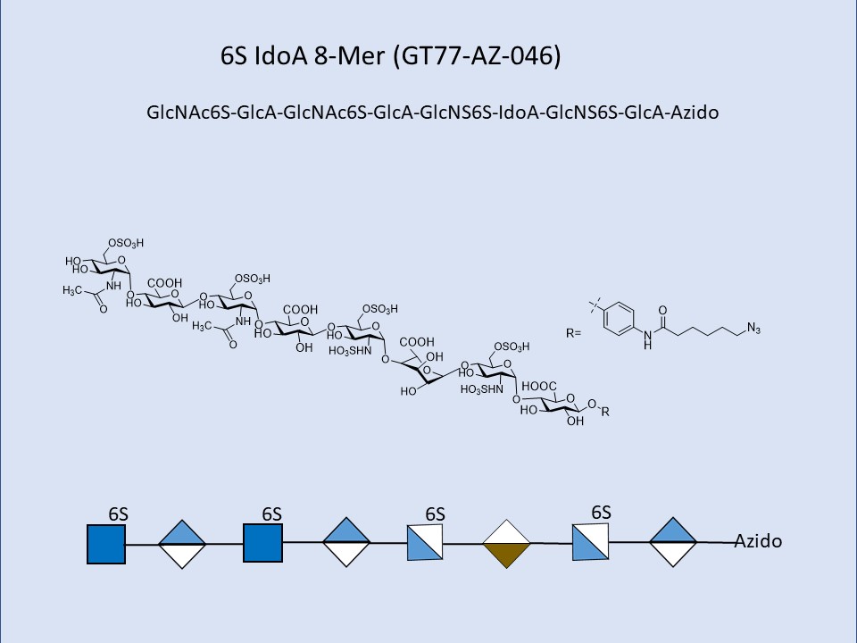 Heparan Sulfate 6S IdoA 8-Mer