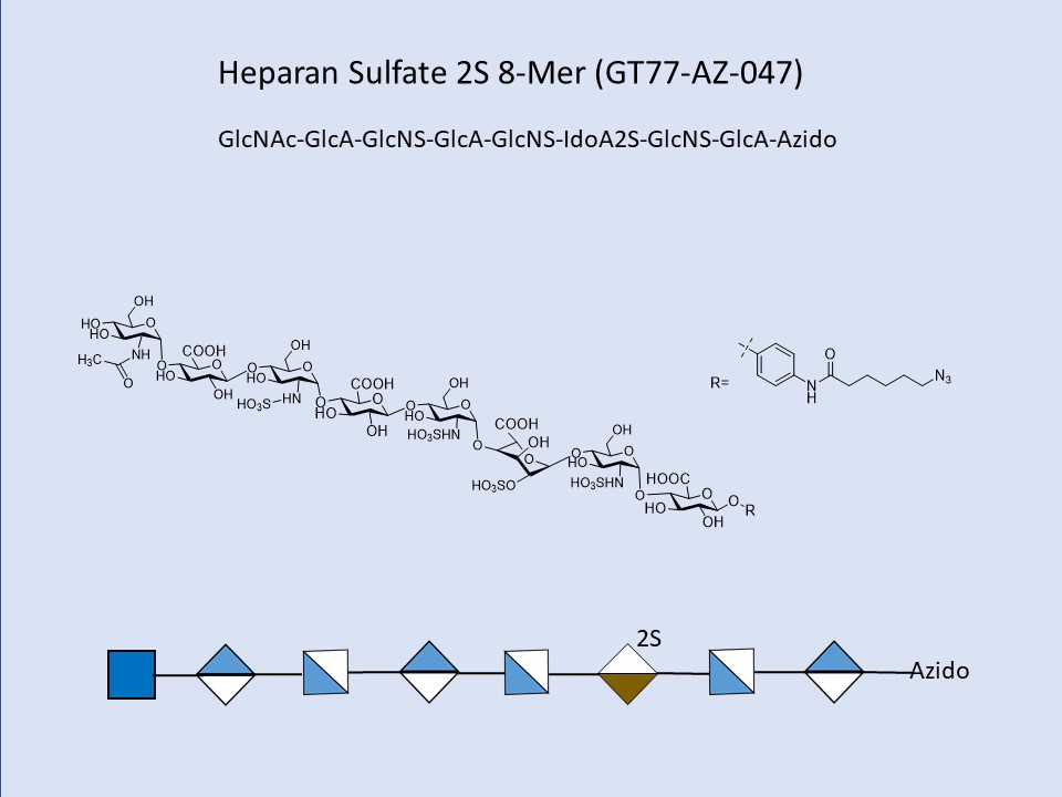 Heparan Sulfate 2S 8-Mer