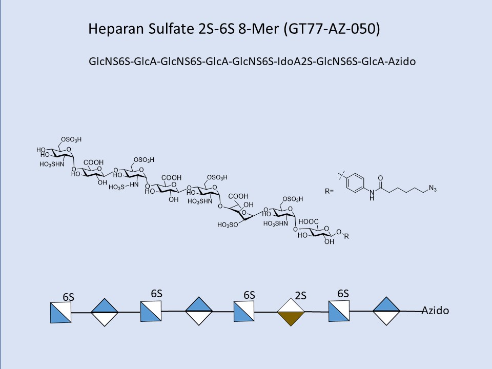 Heparan Sulfate 2S-6S 8-Mer