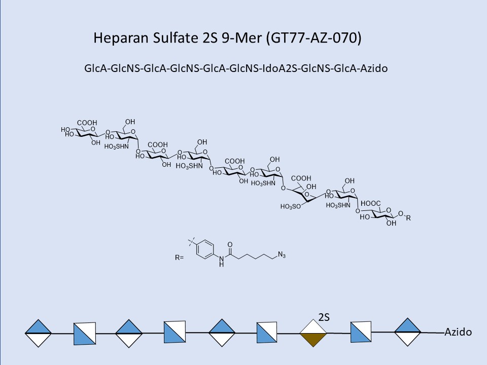 Heparan Sulfate 2S 9-Mer
