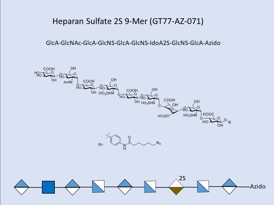 Heparan Sulfate 2S 9-Mer