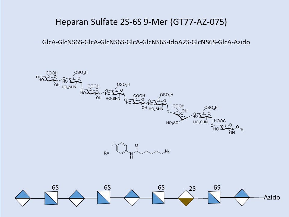 Heparan Sulfate 2S-6S 9-Mer