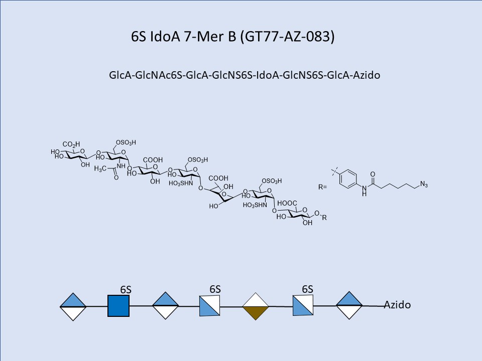 Heparan Sulfate 6S IdoA 7-Mer B
