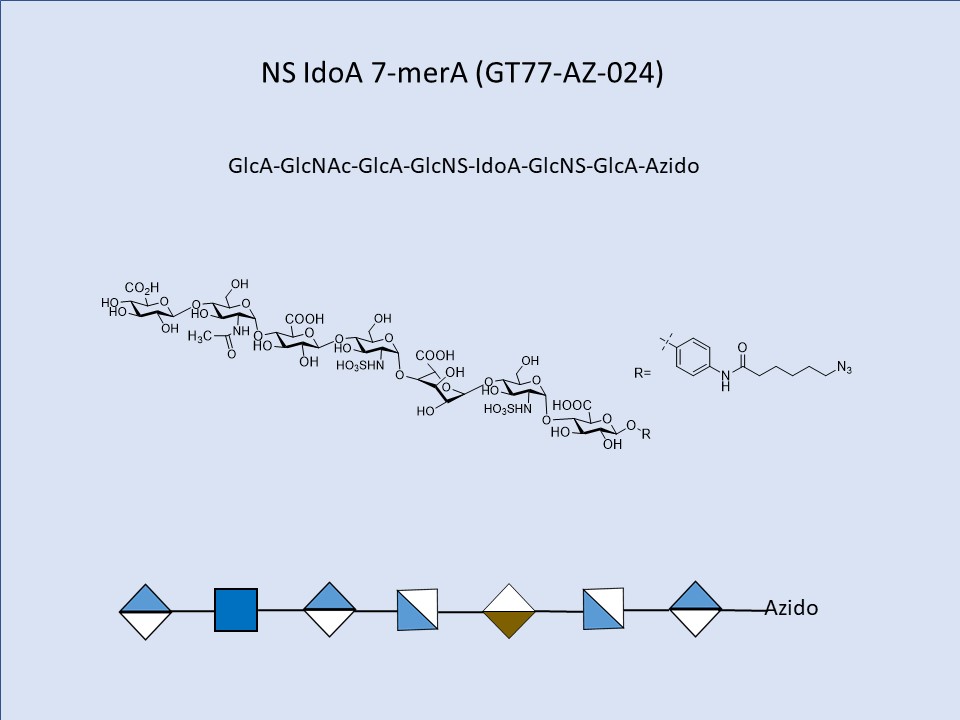 Heparan Sulfate NS IdoA 7-mer