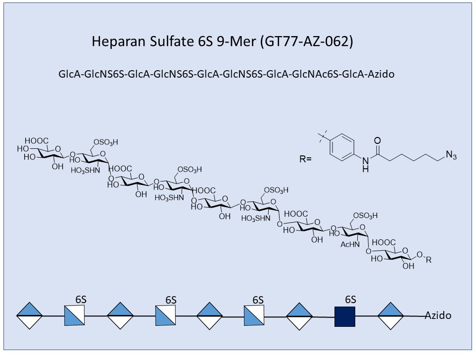 Heparan Sulfate 6S 9-mer