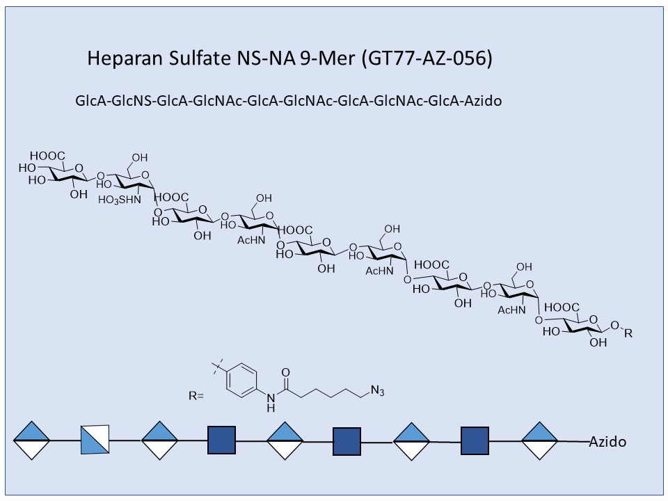 Heparan Sulfate NS-NA 9-mer