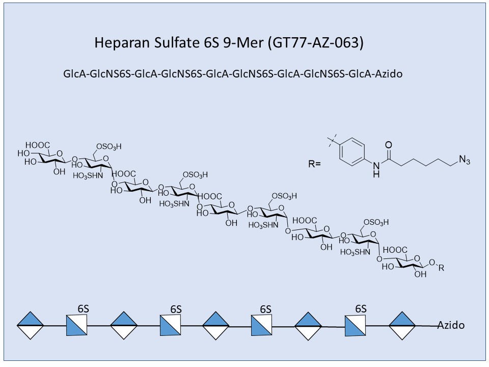 Heparan Sulfate 6S 9-mer