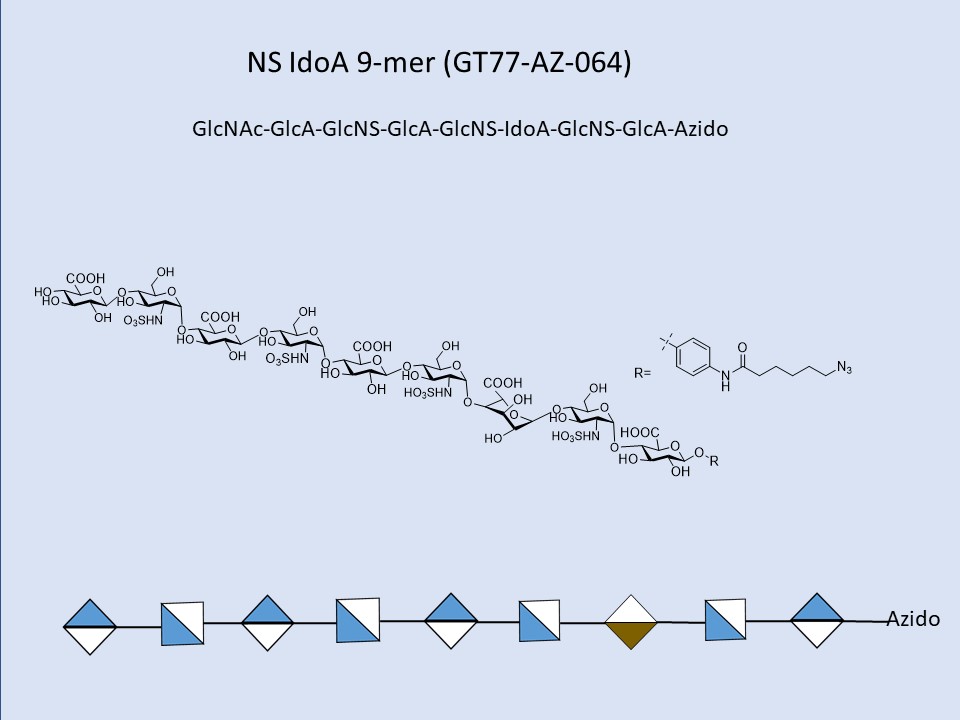 Heparan Sulfate NS IdoA 9-mer