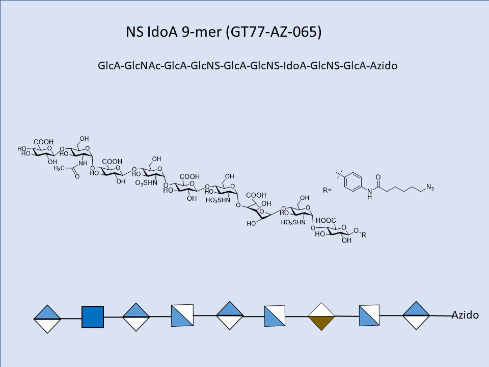 Heparan Sulfate NS IdoA 9-mer