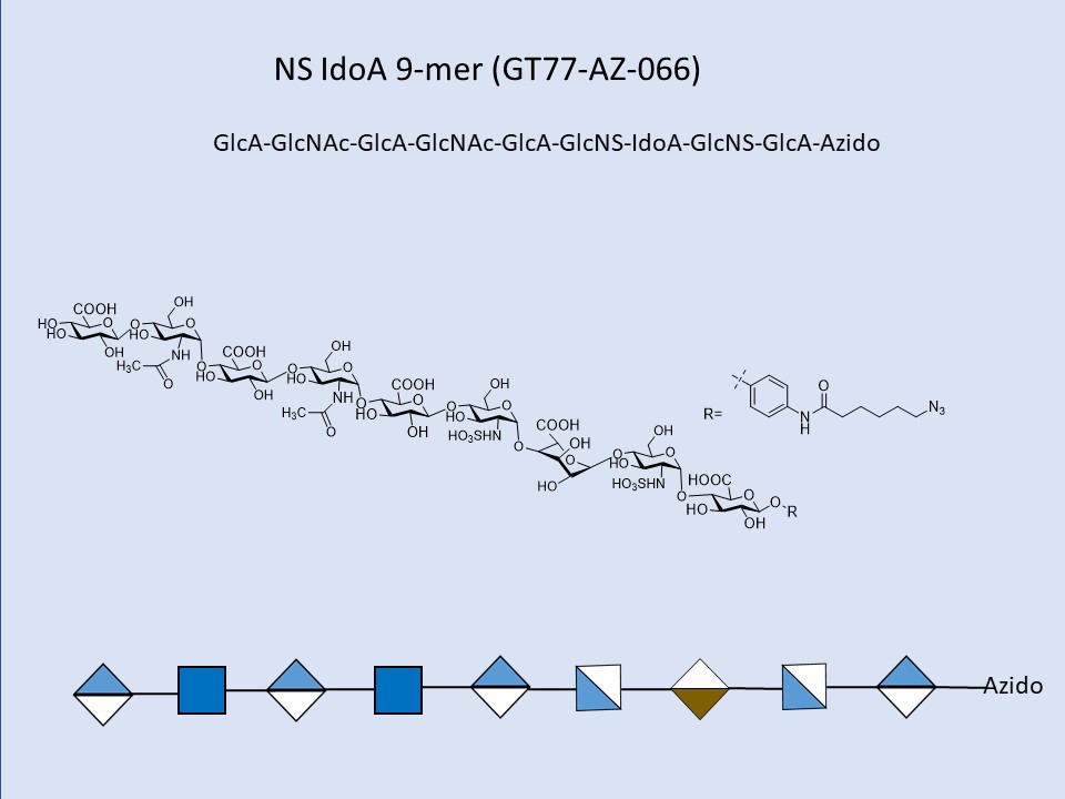 Heparan Sulfate NS IdoA 9-mer