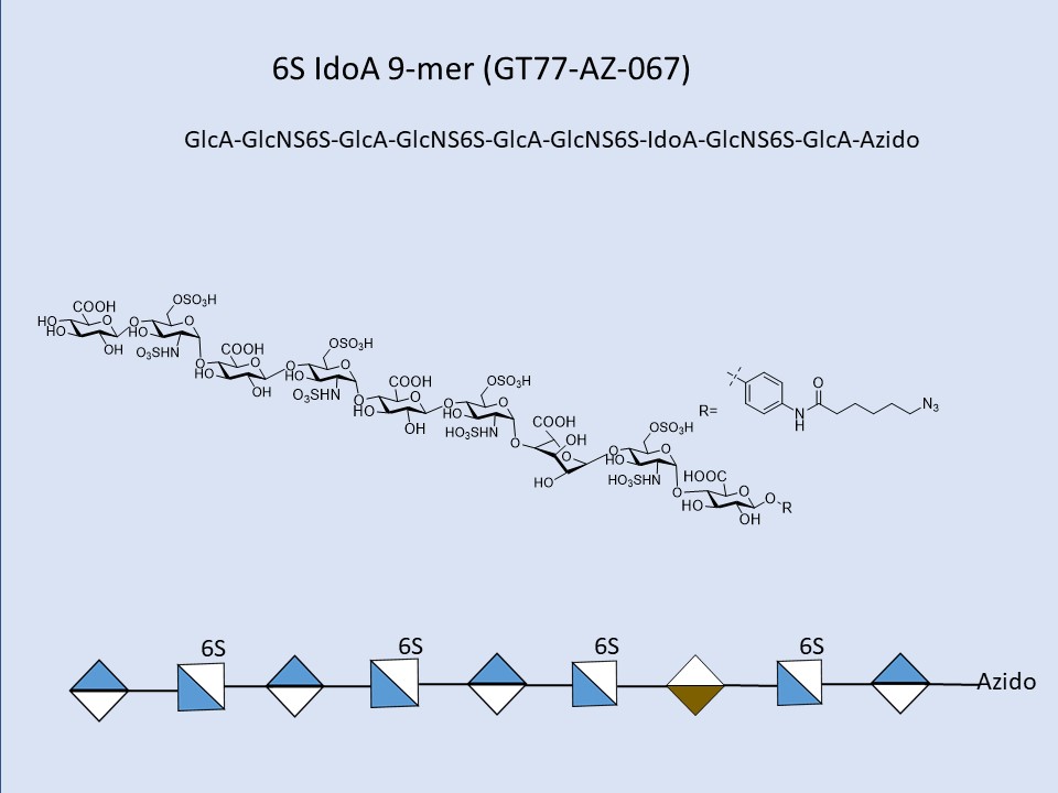 Heparan Sulfate 6S IdoA 9-mer