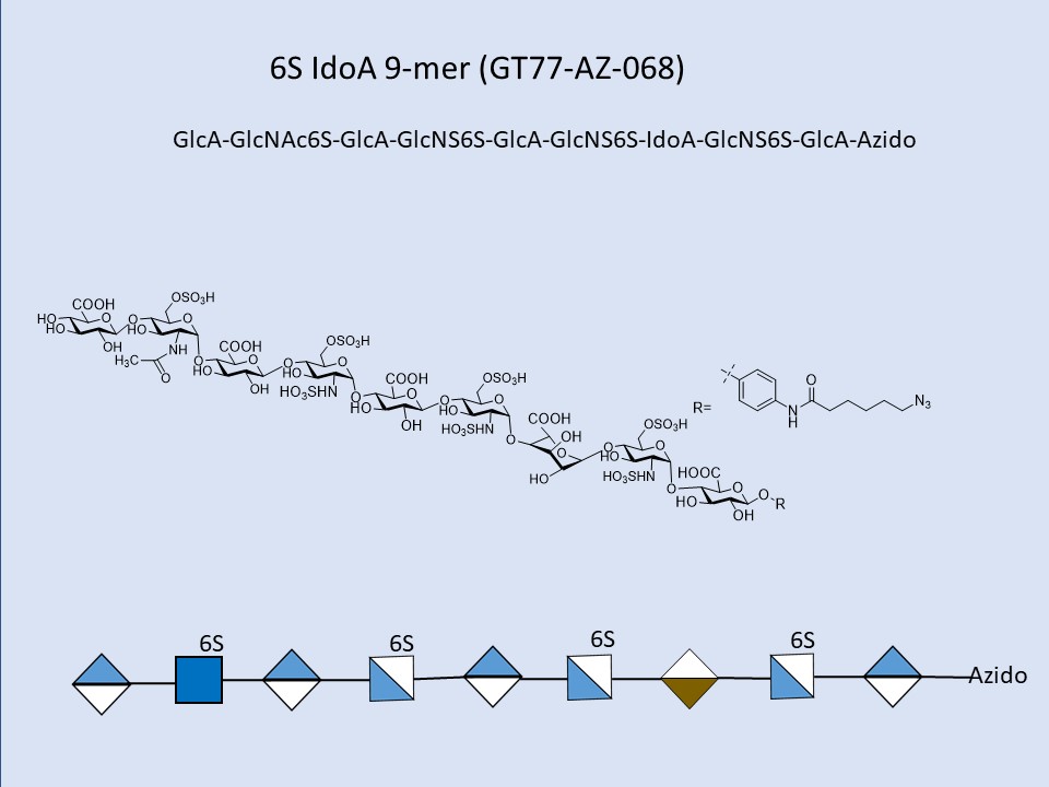 Heparan Sulfate 6S IdoA 9-mer