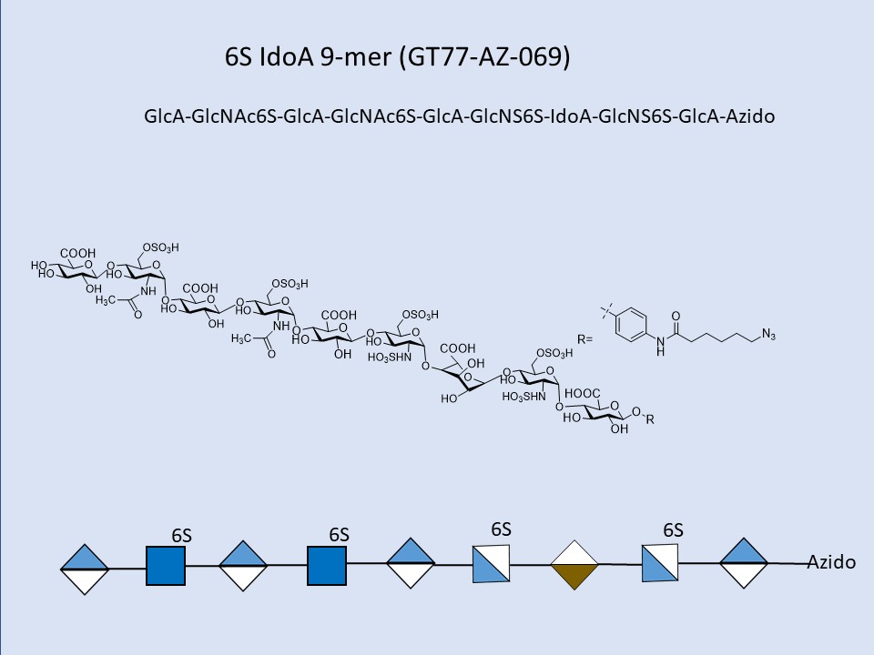 Heparan Sulfate 6S IdoA 9-mer