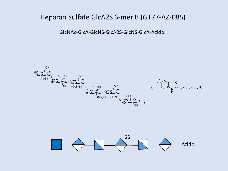Heparan Sulfate GlcA2S 6-mer B