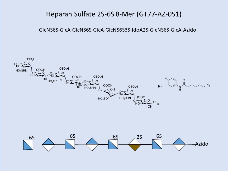 Heparan Sulfate 2S-6S 8-Mer
