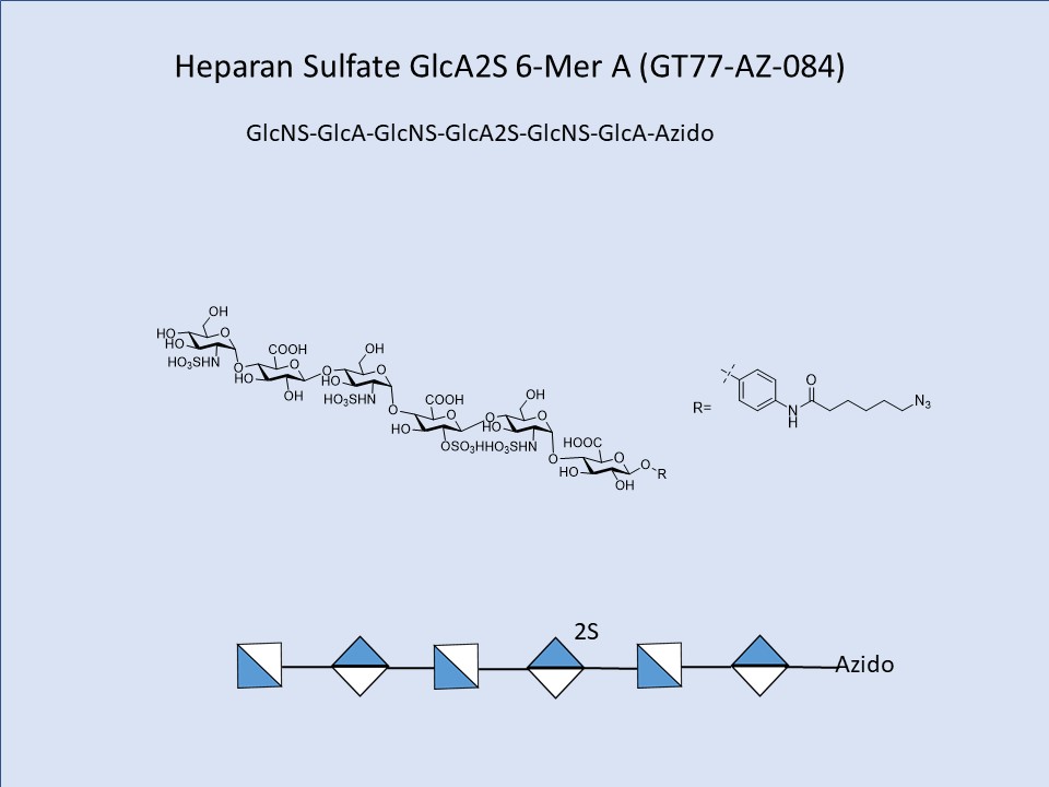Heparan Sulfate GlcA2S 6-Mer A