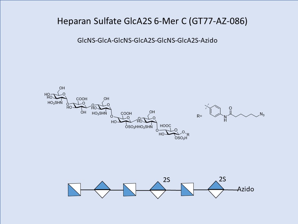 Heparan Sulfate GlcA2S 6-Mer C