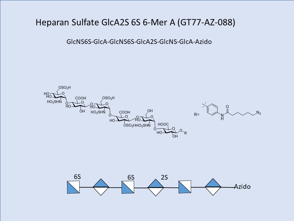 Heparan Sulfate GlcA2S 6S 6-Mer A