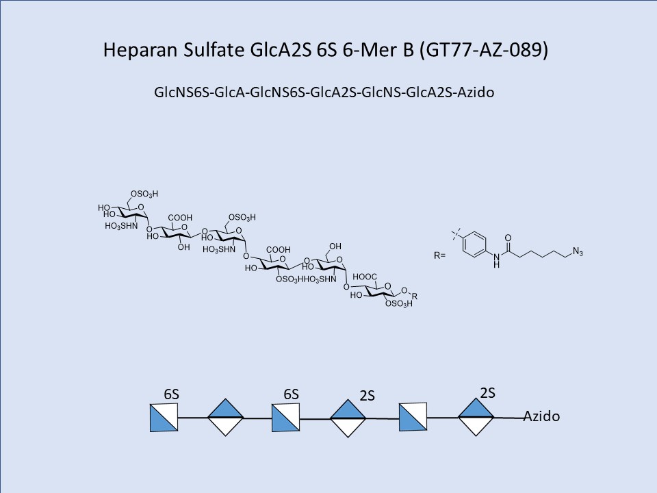 Heparan Sulfate GlcA2S 6S 6-Mer B