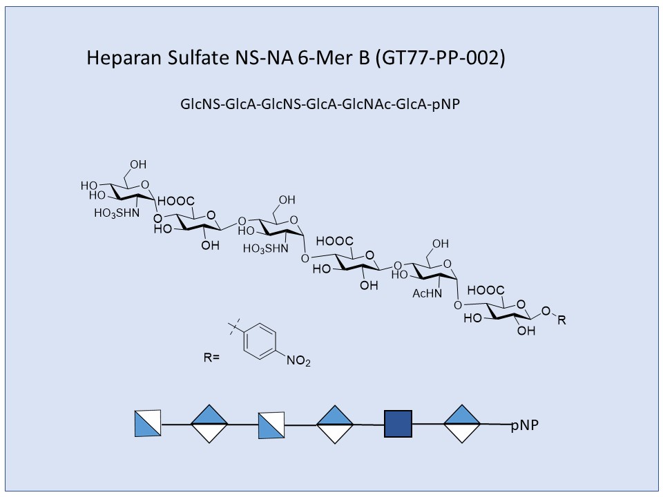 Heparan Sulfate NS-NA 6-Mer B pNP
