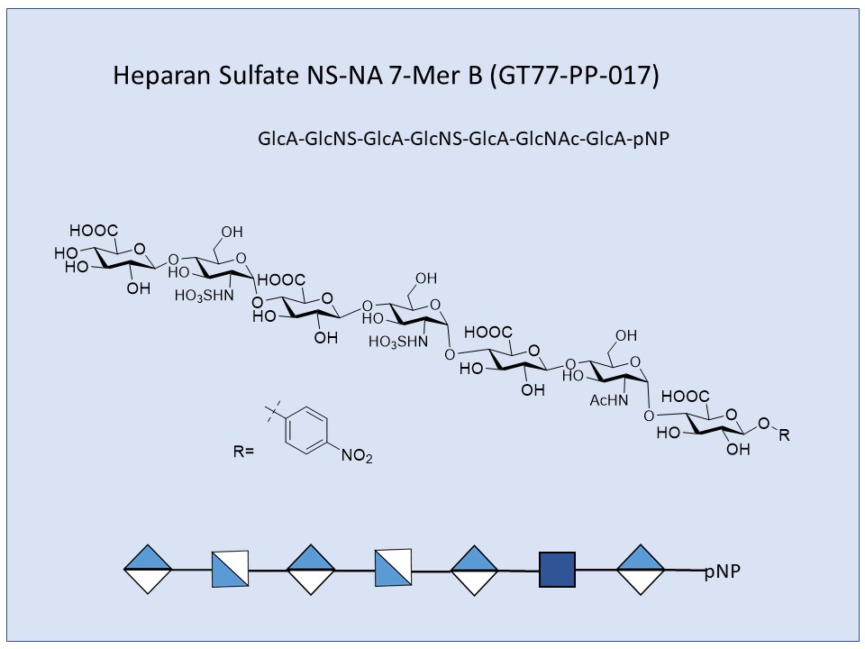 Heparan Sulfate NS-NA 7-Mer B pNP