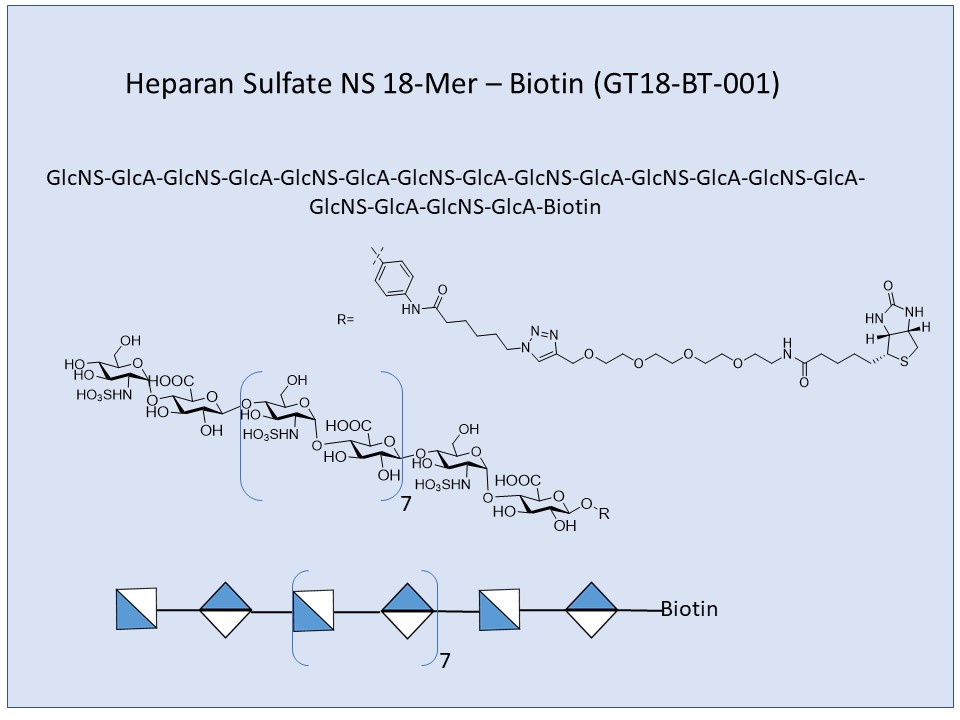 Heparan Sulfate NS 18-Mer