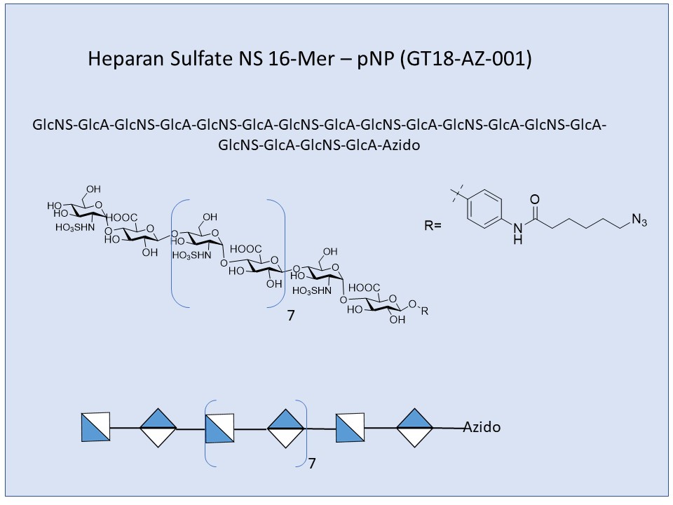 Heparan Sulfate NS 18-Mer