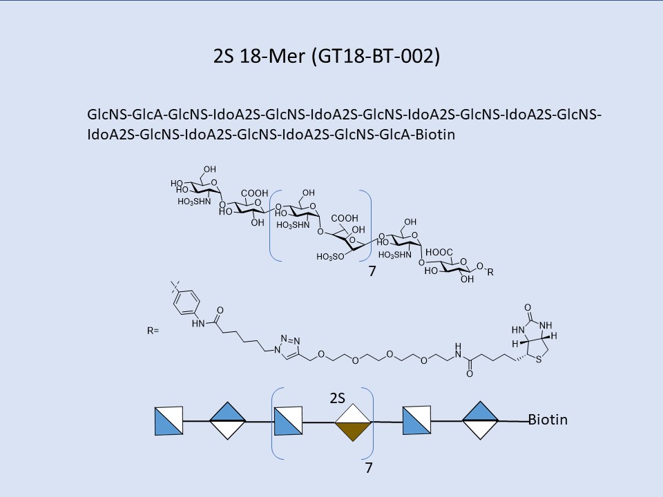 Heparan Sulfate 2S 18-Mer