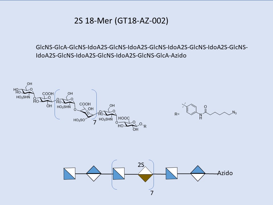 Heparan Sulfate 2S 18-Mer