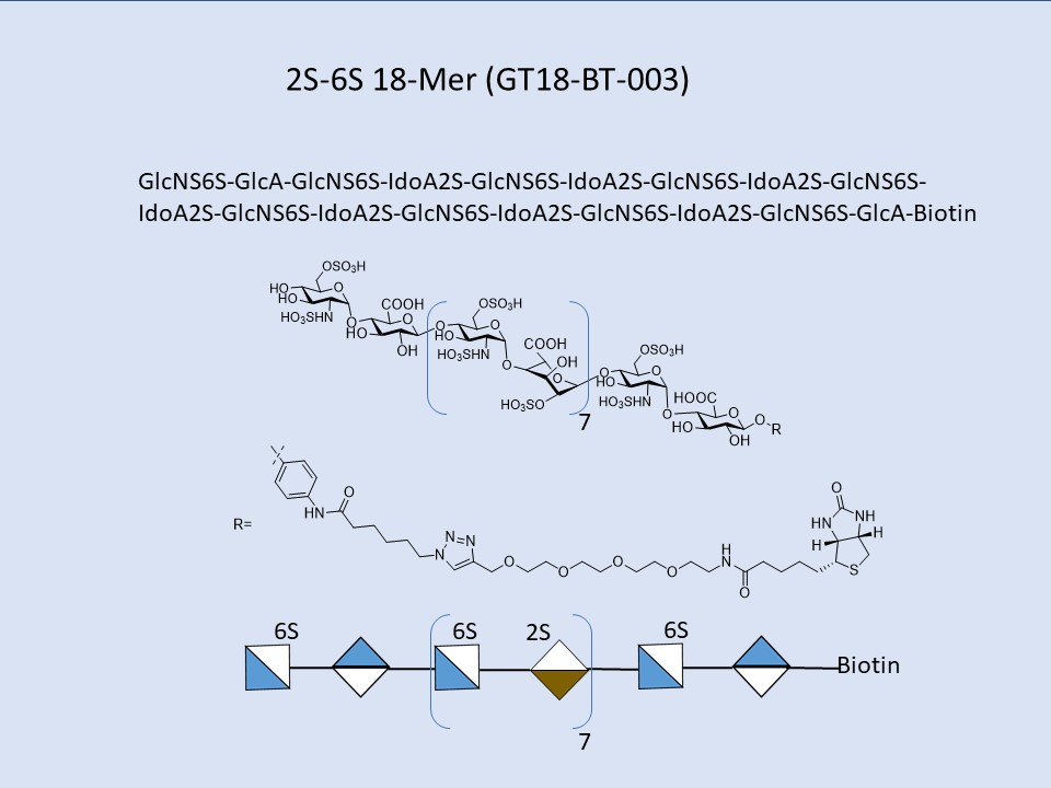 Heparan Sulfate 2S-6S 18-Mer