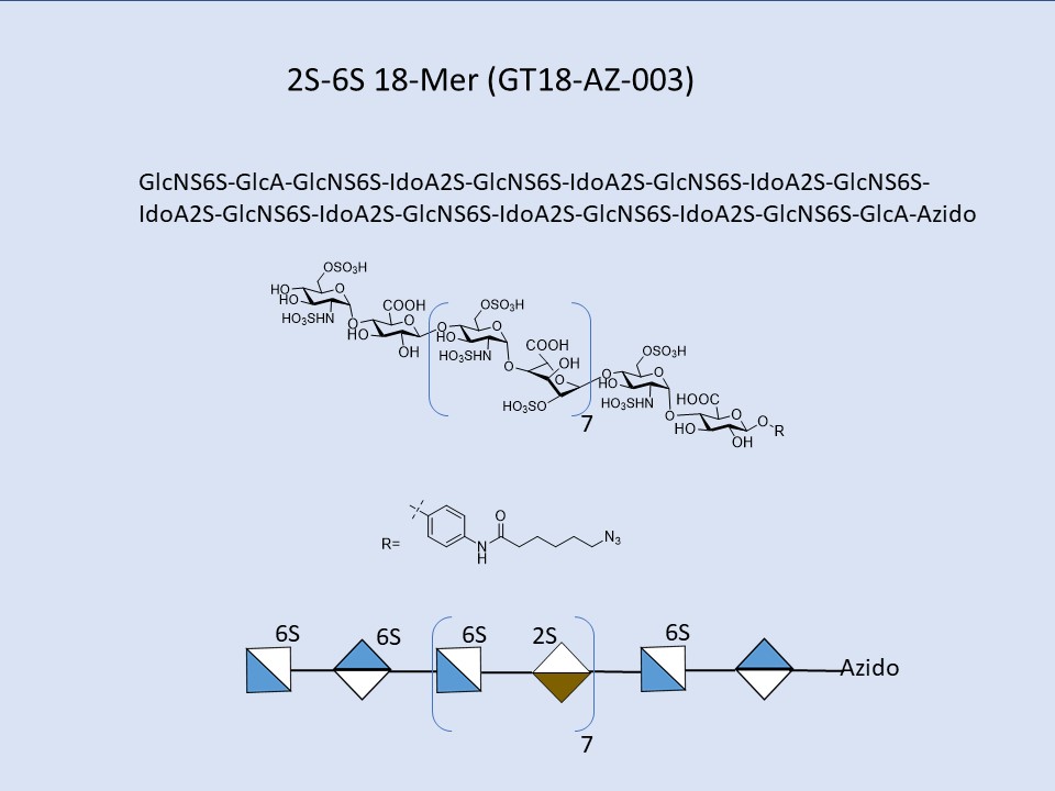 Heparan Sulfate 2S-6S 18-Mer
