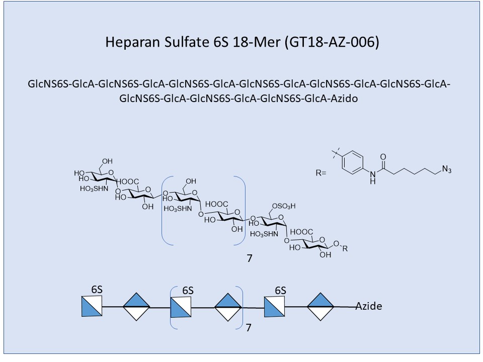 <h2>Heparan Sulfate 6S 18-Mer</h2>