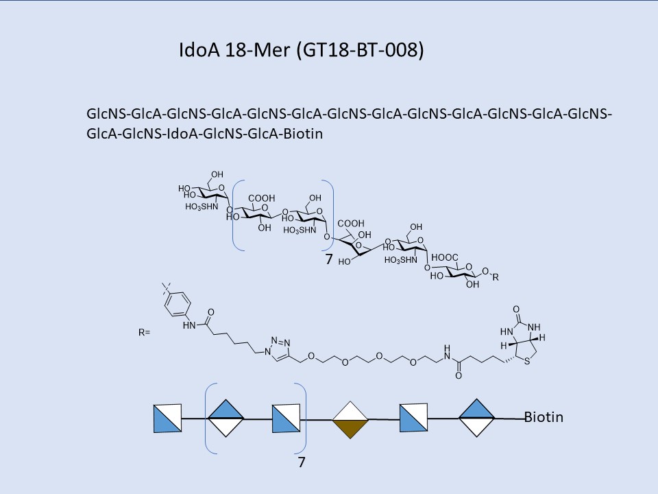 Heparan Sulfate IdoA 18-Mer