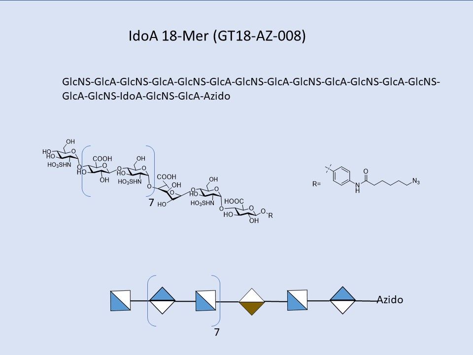 Heparan Sulfate IdoA 18-Mer