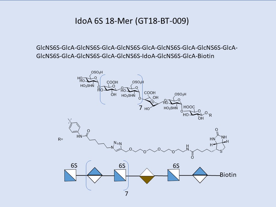 Heparan Sulfate IdoA 6S 18-Mer