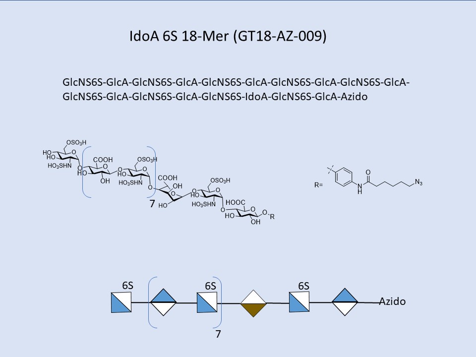 Heparan Sulfate IdoA 6S 18-Mer
