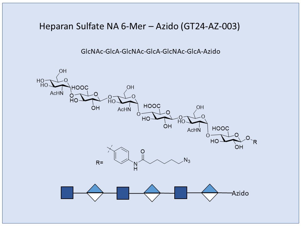 Heparan Sulfate NA 6-Mer