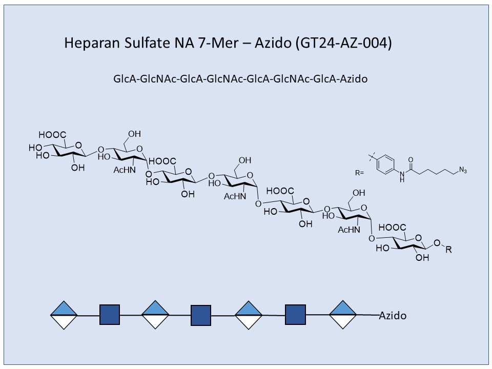 Heparan Sulfate NA 7-Mer