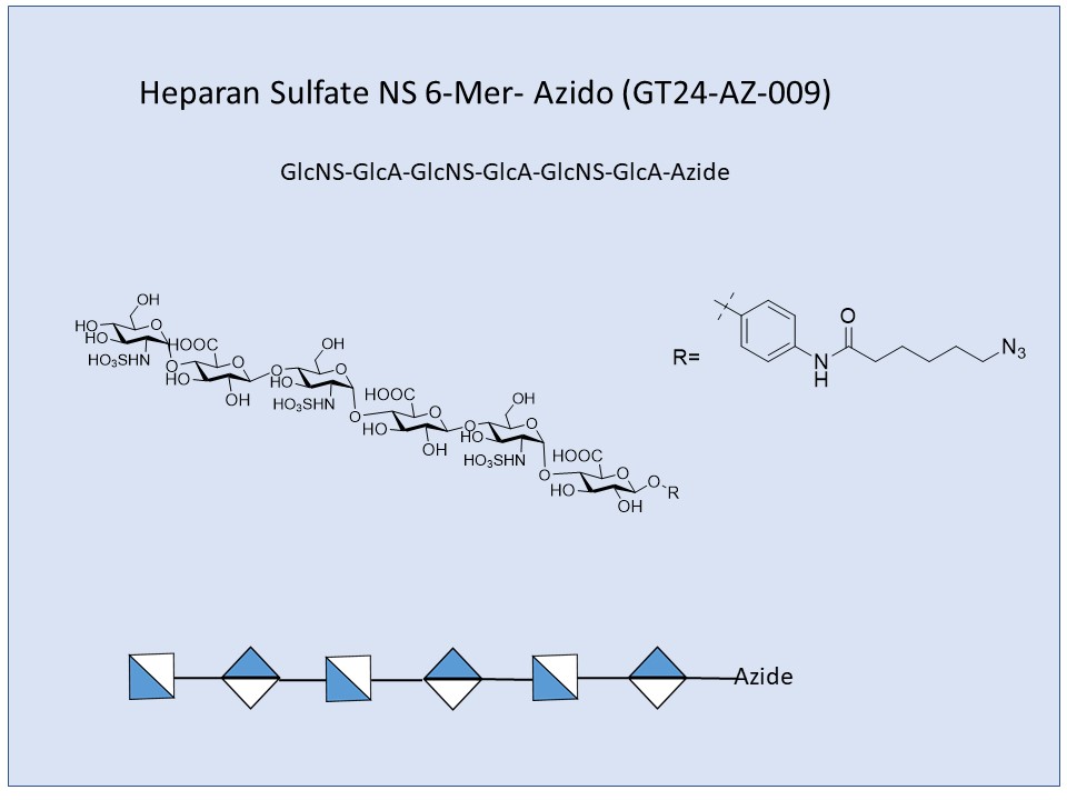Heparan Sulfate NS 6-Mer